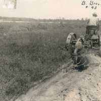 Preparing Blueberry Field