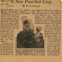 A New Poor Soil Crop