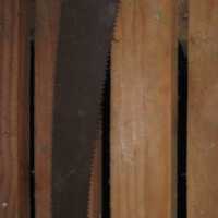 Pruning Saw