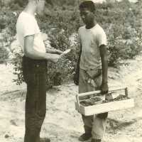 Tallying Blueberries Picked