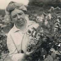          Elizabeth Admiring a Cluster of Rubels
   