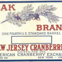 Oak Label