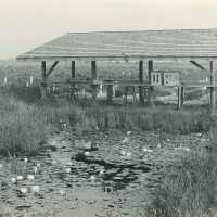 Packing Shed and Waterway