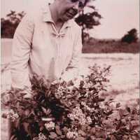 Elizabeth White Checking Berry Quality