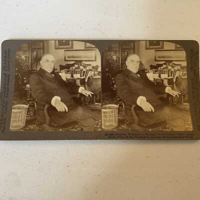McKinley at the Head of the Council Table