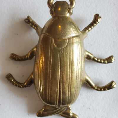 Gold Bug