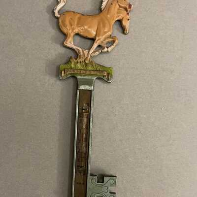 Horse Thermometer