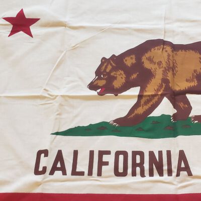 State Flag of California