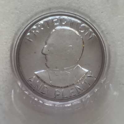 McKinley "Protection and Plenty" Glass