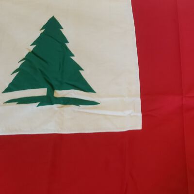 Continental Flag