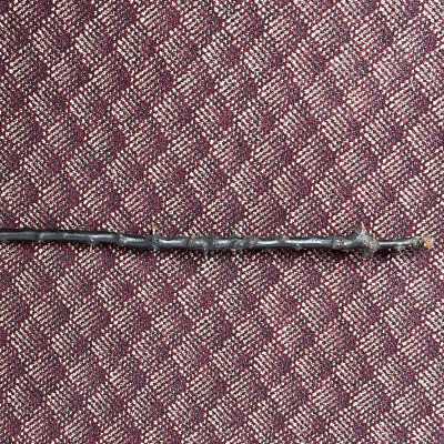 McKinley's Walking Stick