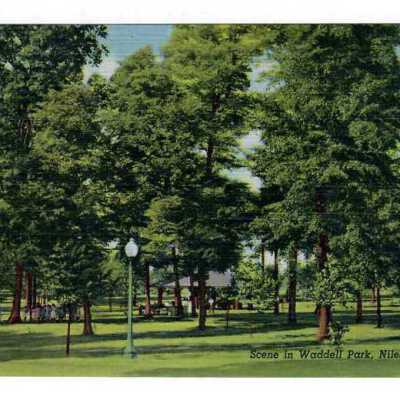 Scene in Waddell Park