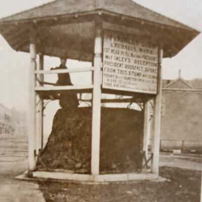 The McKinley Stump, Chehalis, Washington