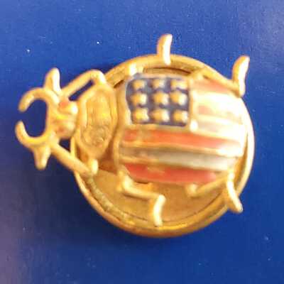 Bug American Flag Cufflink