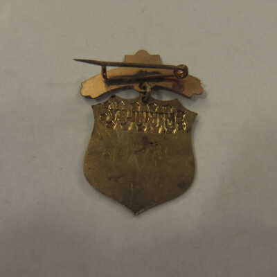 McKinley Shield