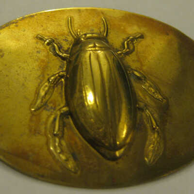 Gold Bug Pin