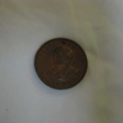 McKinley Protection Campaign Coin 1896
