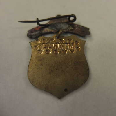 McKinley Shield