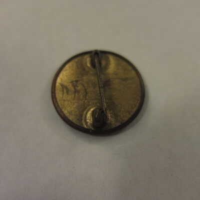 Gold Shield Pin