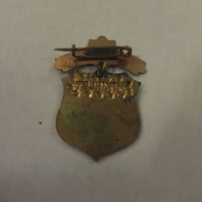 McKinley Shield