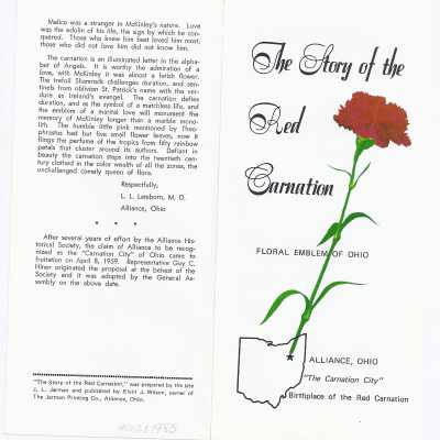 The Story of the Red Carnation by L.L. Lamborn