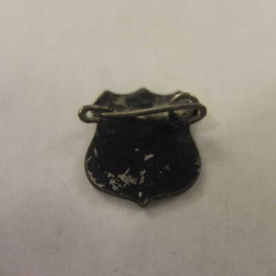 Red and Blue Shield Pin