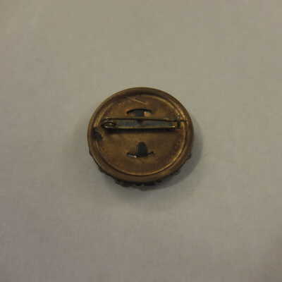 McKinley Campaign Pin