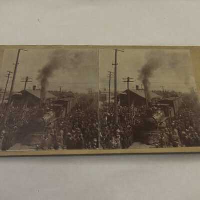 Crowds wait to see McKinley's funeral train.