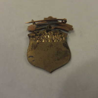 McKinley Shield