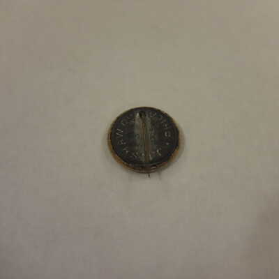 McKinley and Roosevelt Campaign Pin