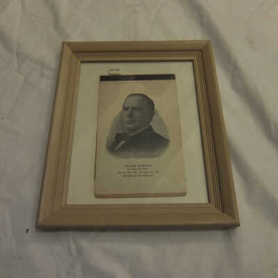 William McKinley, Our Martyred President