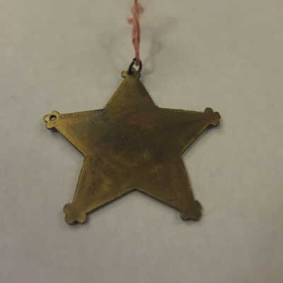 Military Mustered Pin