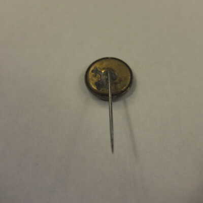McKinley Protection Pin
