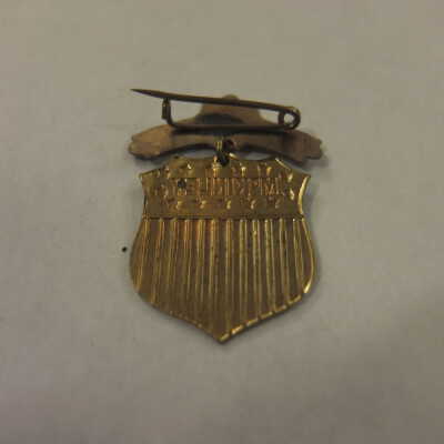McKinley Shield