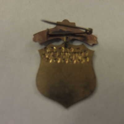 McKinley Shield