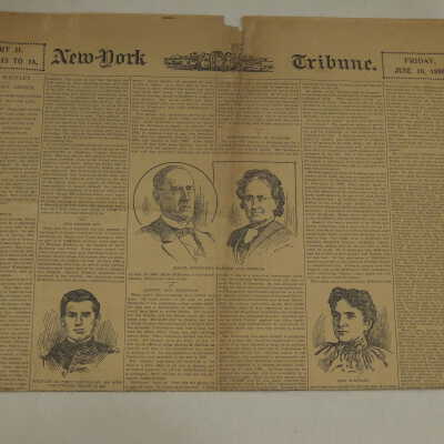 06/19/1896 New-York Tribune