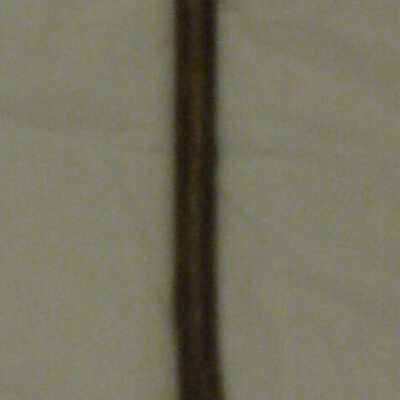 Wood cane with silver McKinley topper