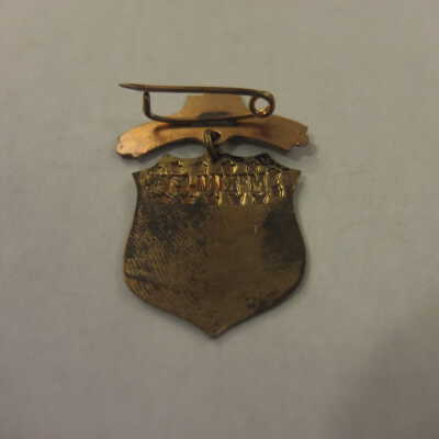 McKinley Shield