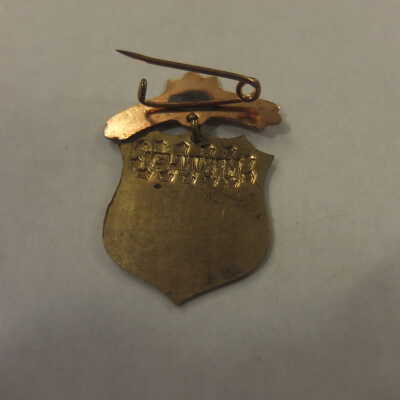 McKinley Shield