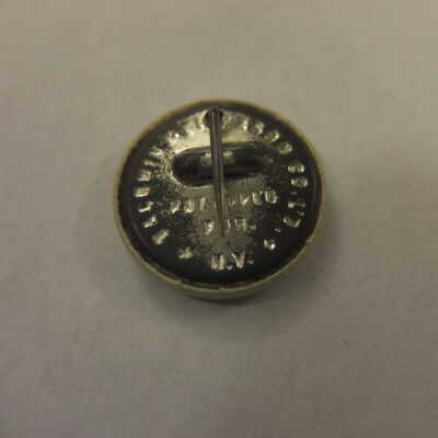 Sound Money Flag Pin
