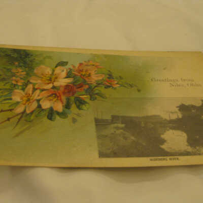 Postcard from Niles, Ohio