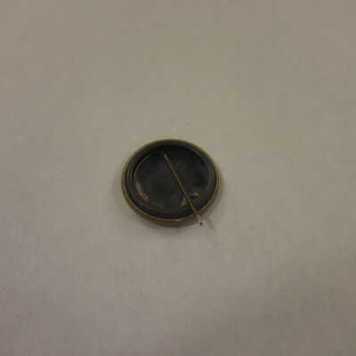 McKinley and Roosevelt Campaign Pin