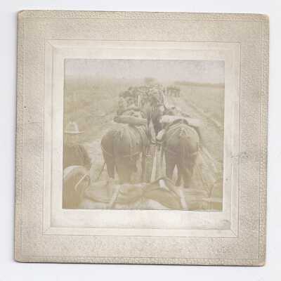 Cavalry wagon train
