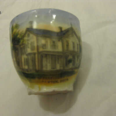 McKinley Home Teacup