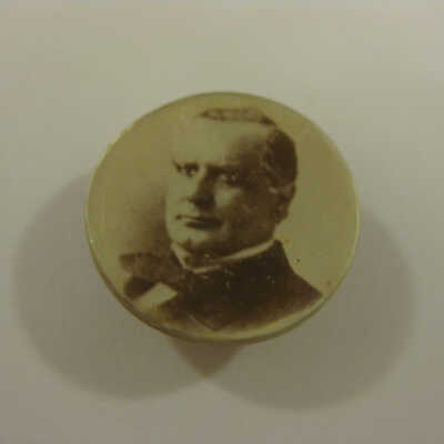 Silver McKinley button