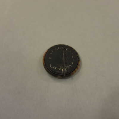 McKinley Campaign Pin