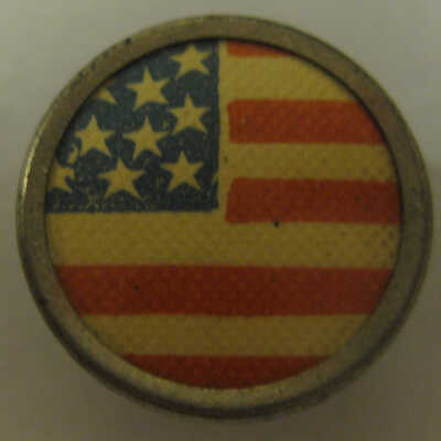 Flag campaign pin.
