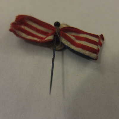 McKinley Flag and Portrait Pin