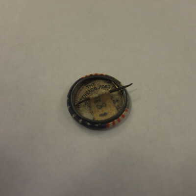 McKinley Campaign Pin