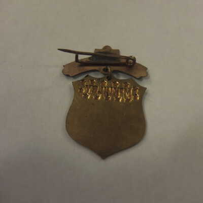 McKinley Shield